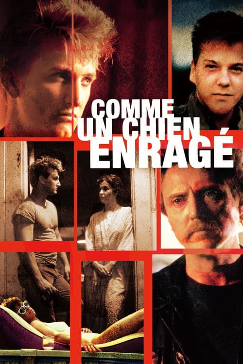 Affiche de Comme un chien enragé
