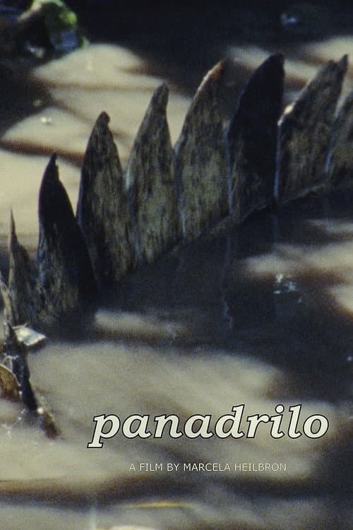 Affiche de Panadrilo