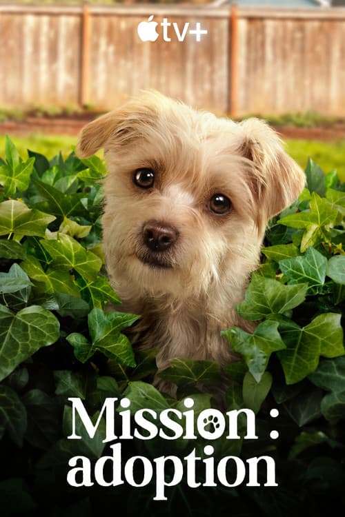 Affiche de Mission : adoption