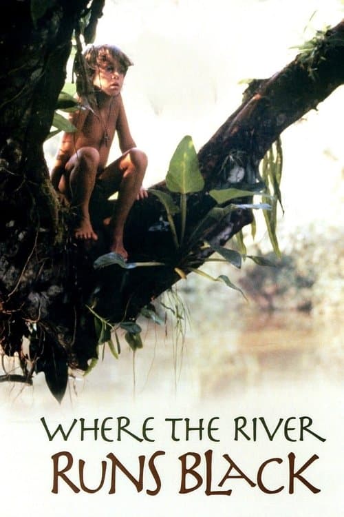 Affiche de Where the River Runs Black