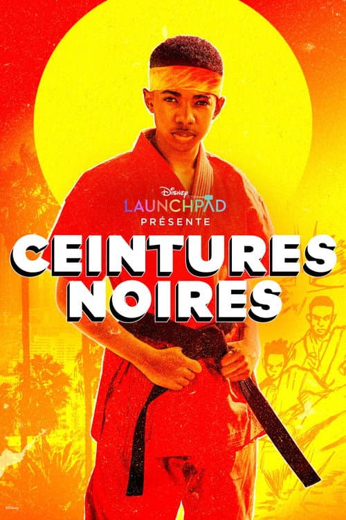 Affiche de Ceintures noires