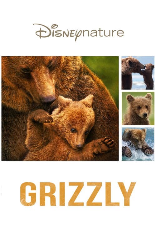 Affiche de Grizzly
