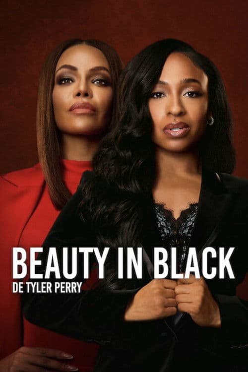 Affiche de Beauty in Black
