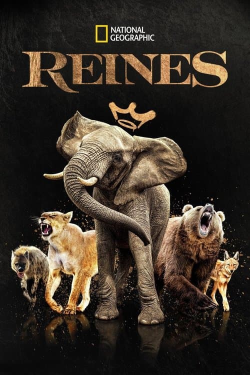 Affiche de Reines