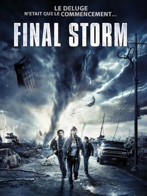 Affiche de Final Storm
