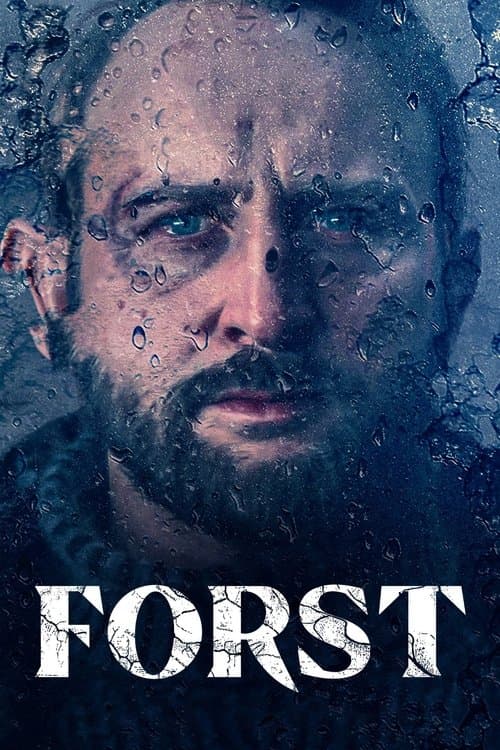 Affiche de Détective Forst