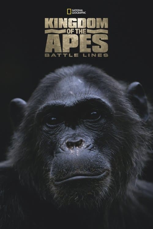 Affiche de Le Royaume des singes : Lignes de bataille