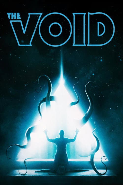 Affiche de The Void