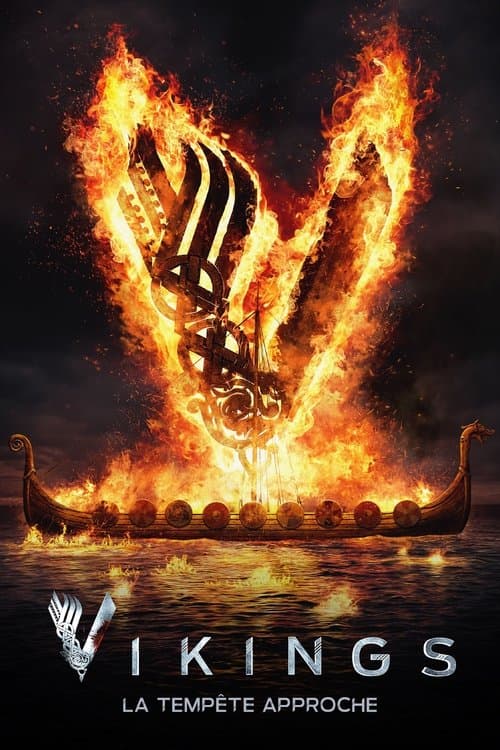 Affiche de Vikings