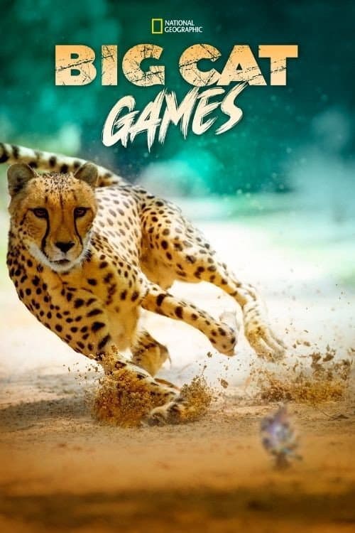 Affiche de Big Cat Games