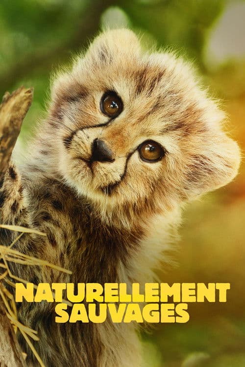Affiche de Naturellement sauvages