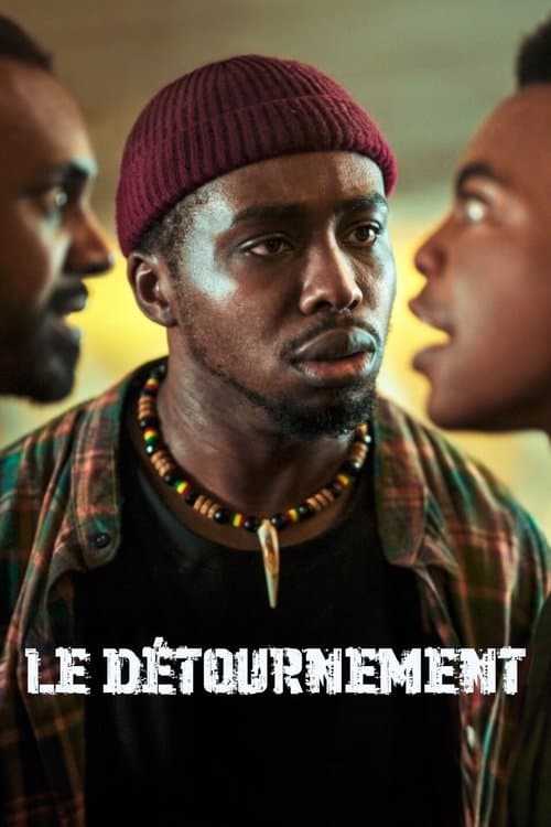 Affiche de Le Détournement