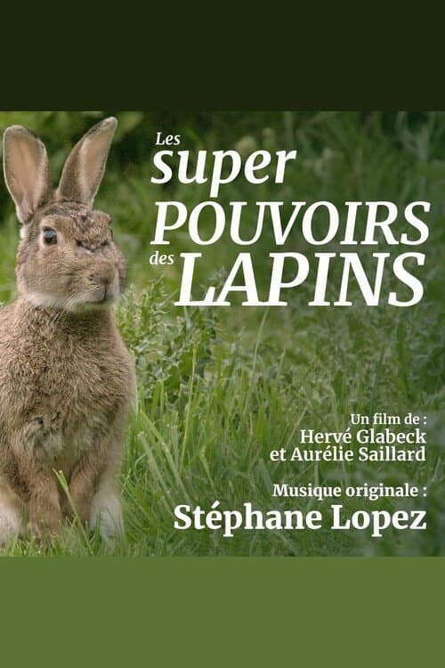 Affiche de Les super pouvoirs du lapin
