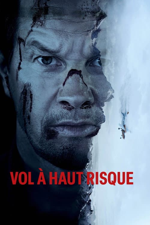 Affiche de Vol à haut risque
