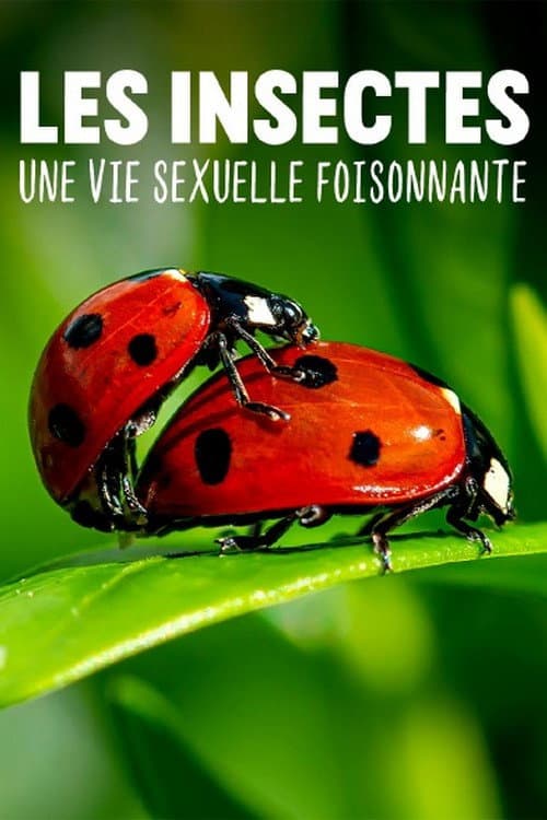 Affiche de Les insectes, une vie sexuelle foisonnante