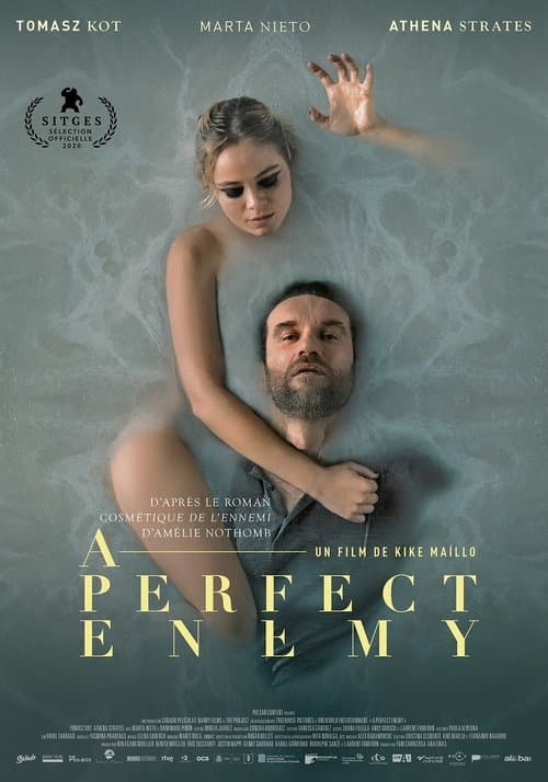 Affiche de A Perfect Enemy