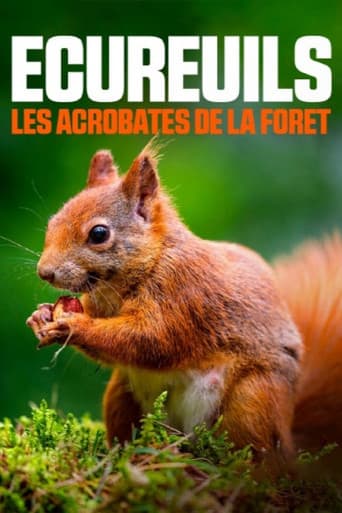 Affiche de Écureuils, les acrobates de la forêt