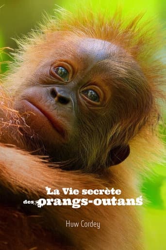 Affiche de La Vie secrète des orangs-outans