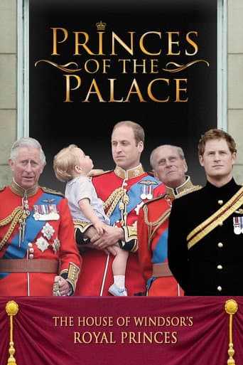 Affiche de Vies de princes