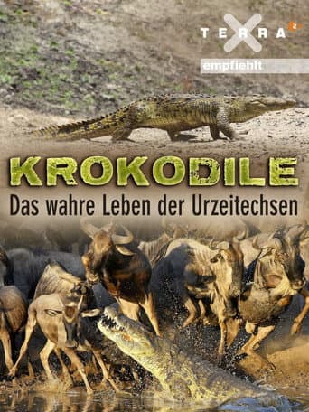 Affiche de La Vie privée des crocodiles