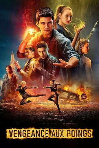 Affiche de Vengeance aux poings
