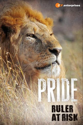 Affiche de La Vie privée des lions