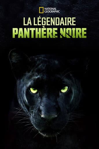 Affiche de La légendaire panthère noire