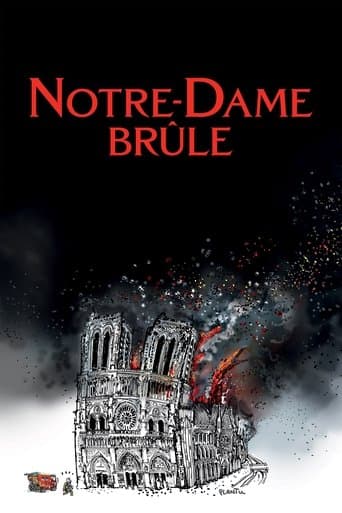Affiche de Notre-Dame brûle