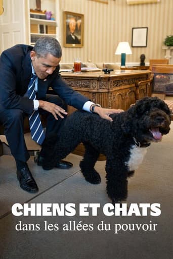 Affiche de Chiens et chats dans les allées du pouvoir