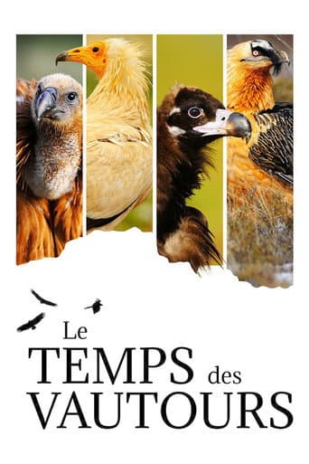 Affiche de Le Temps des vautours
