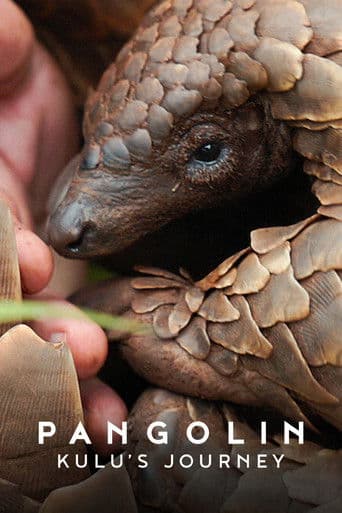 Affiche de Pangolin : Chemins de vie