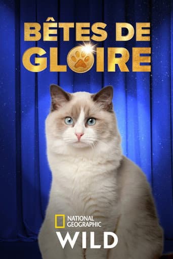 Affiche de Bêtes de gloire