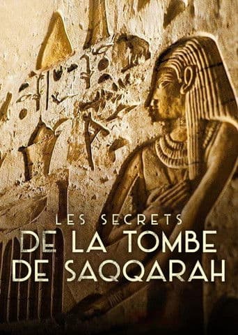 Affiche de Les Secrets de la tombe de Saqqarah