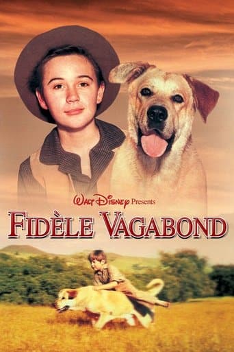 Affiche de Fidèle vagabond