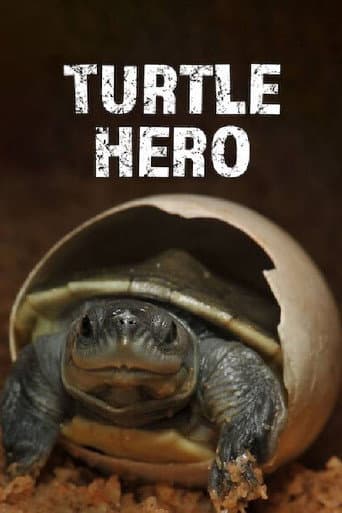 Affiche de Turtle Hero