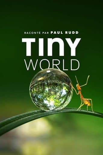 Affiche de Tiny World
