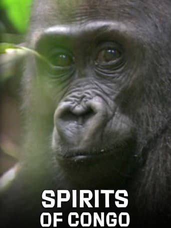 Affiche de Les esprits du Congo