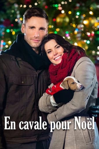 Affiche de En cavale pour Noël