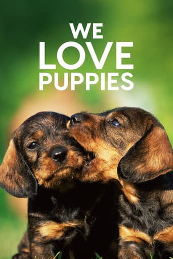 Affiche de Amours de chiens