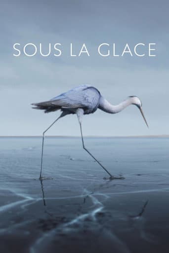 Affiche de Sous la glace