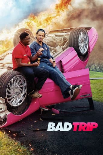 Affiche de Bad Trip