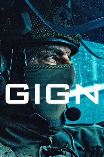 Affiche de GIGN