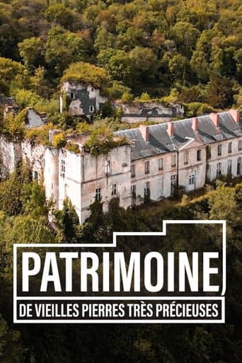 Affiche de Patrimoine, de vieilles pierres très précieuses