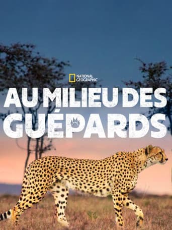 Affiche de Au milieu des guépards