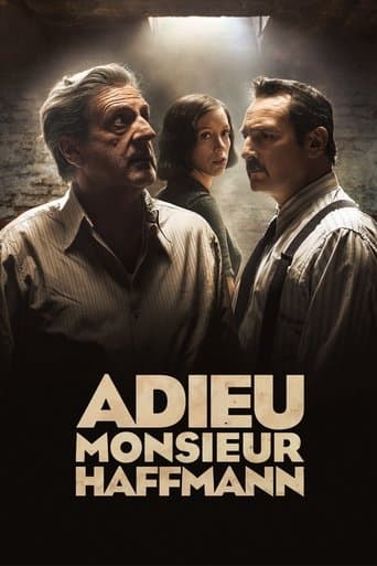 Affiche de Adieu monsieur Haffmann