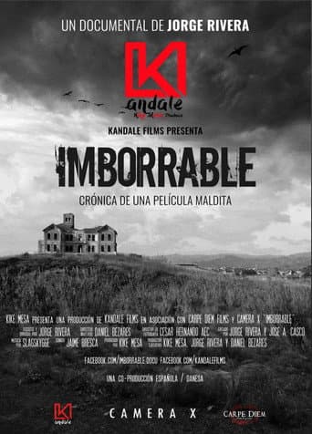 Affiche de Imborrable