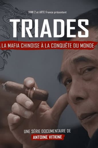 Affiche de Triades : la Mafia chinoise à la conquête du monde