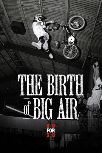 Affiche de The Birth of Big Air