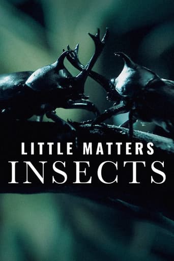 Affiche de Little Matters: Insects