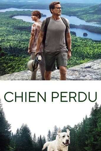 Affiche de Chien perdu